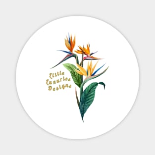 Bird of Paradise Graphic Design Magnet